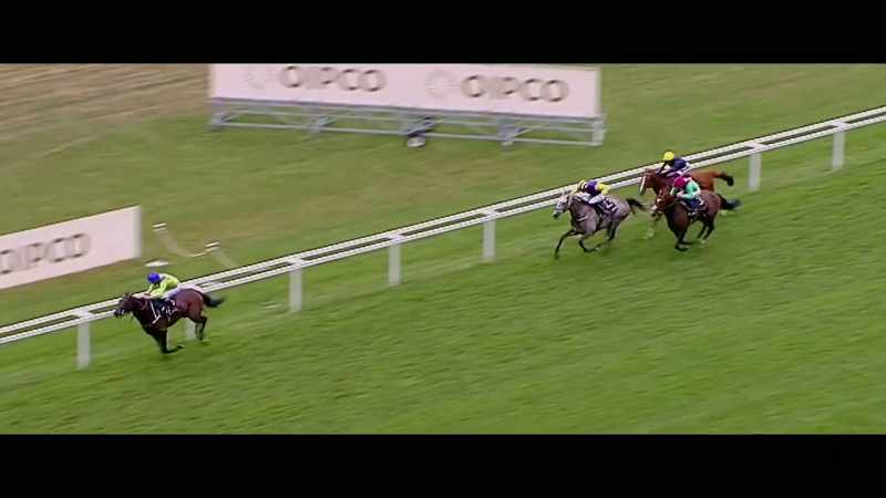 Spanish Mission behind this, Stradivarius is back in fourth position