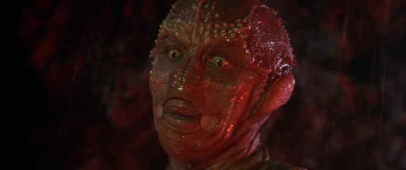[Speaking Alien Language] Earthman