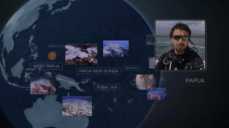 [speaking English] Reefs here have been under major stress