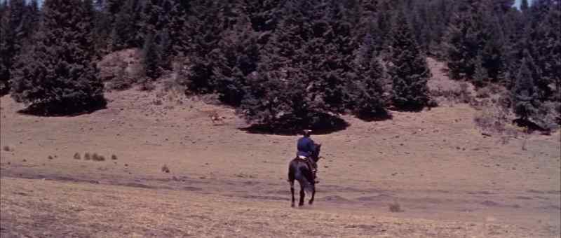 [ Speaks Sioux ] - At a gallop. Follow me!