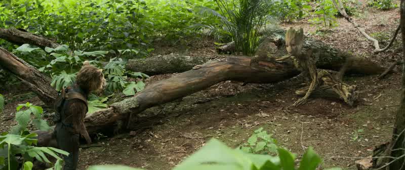 I am Groot