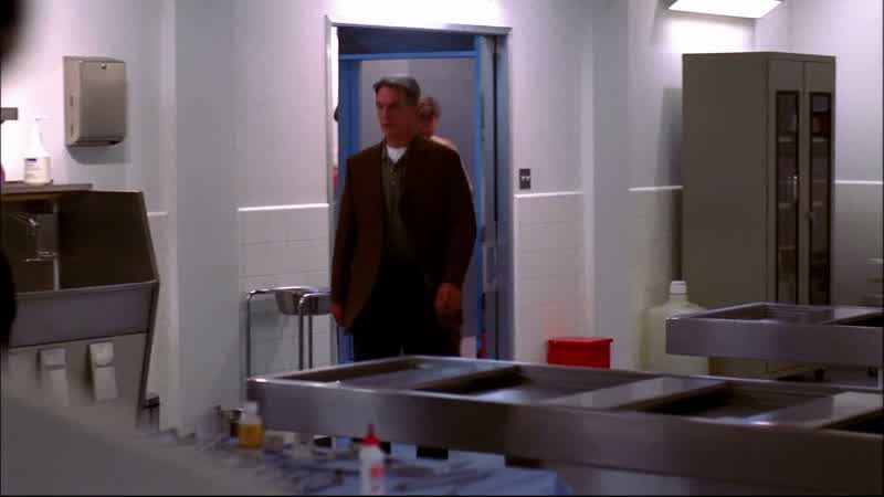 Special agent Gibbs