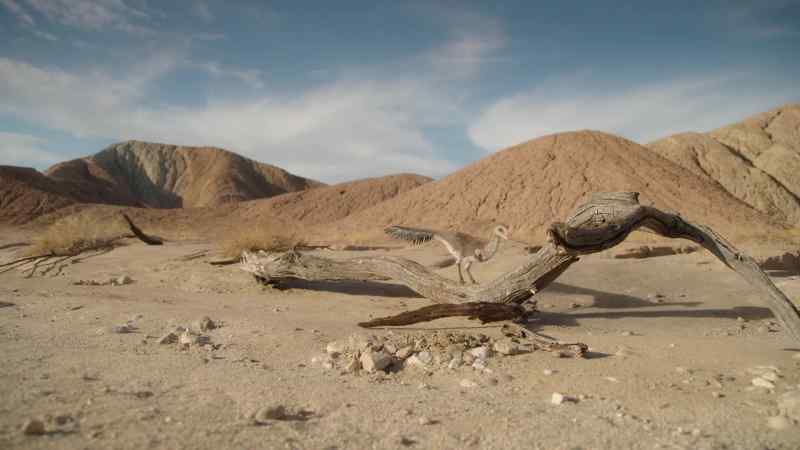Specialists like Mononykus can thrive in this arid desert