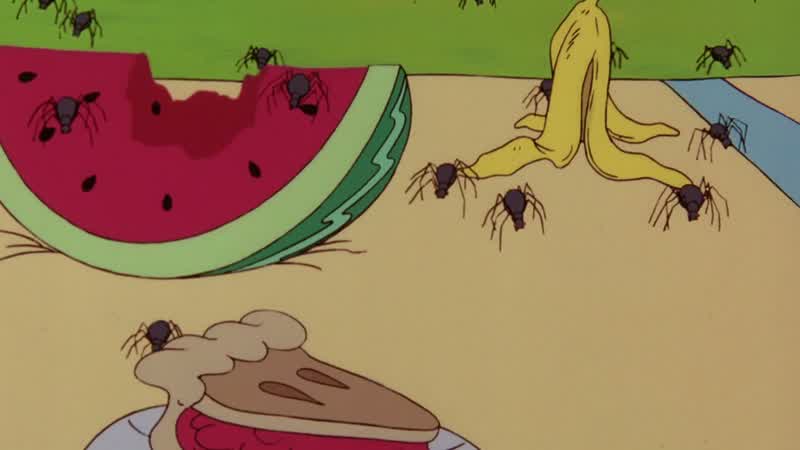 Spiders?!