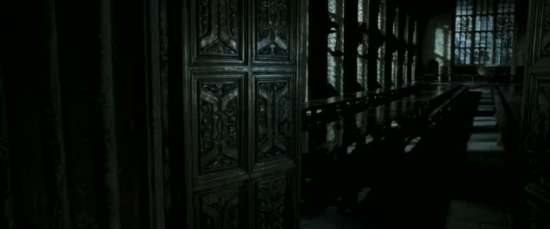 �� ♪: Spiders!