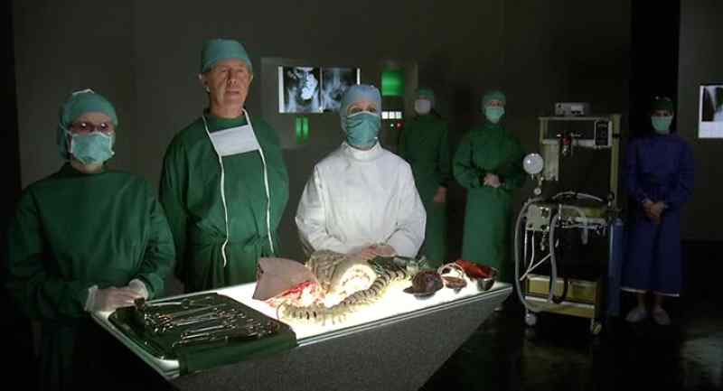 Spine bladder upper gut pancreas right buttock