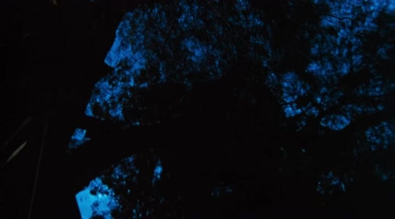 Spirit, are you there?