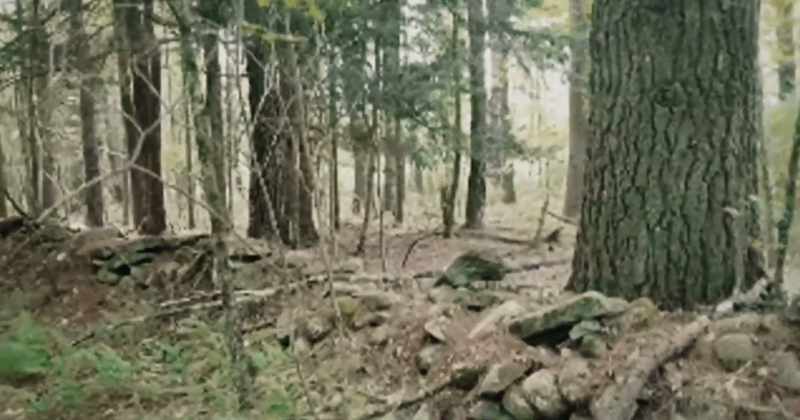 Spirits, I'm trying to find an old foundation out here
