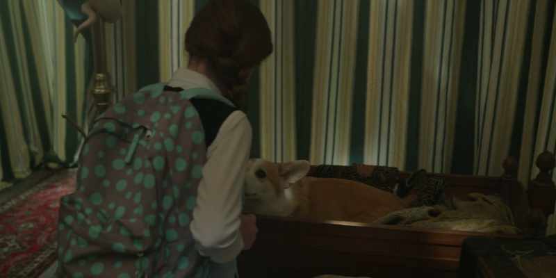 Splendid backpack!