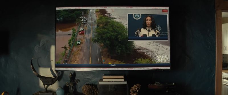 SPOKESWOMAN: Our early warning detection systems