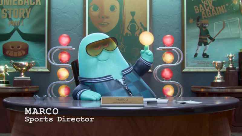 Sports Director