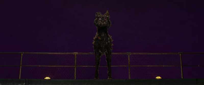 Spots, whoever he is