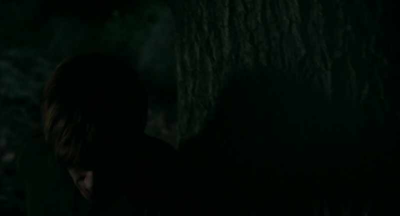 [Spotted owl making sounds]