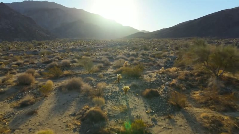 'Spring comes early in the desert, and it doesn't last long