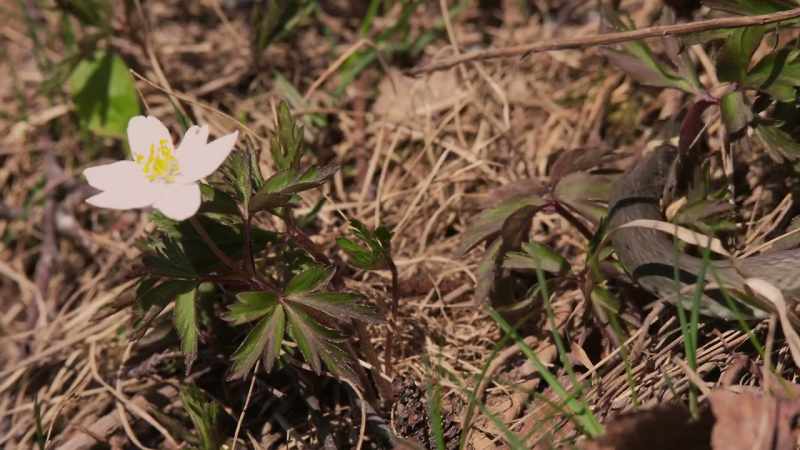 Spring is in the air