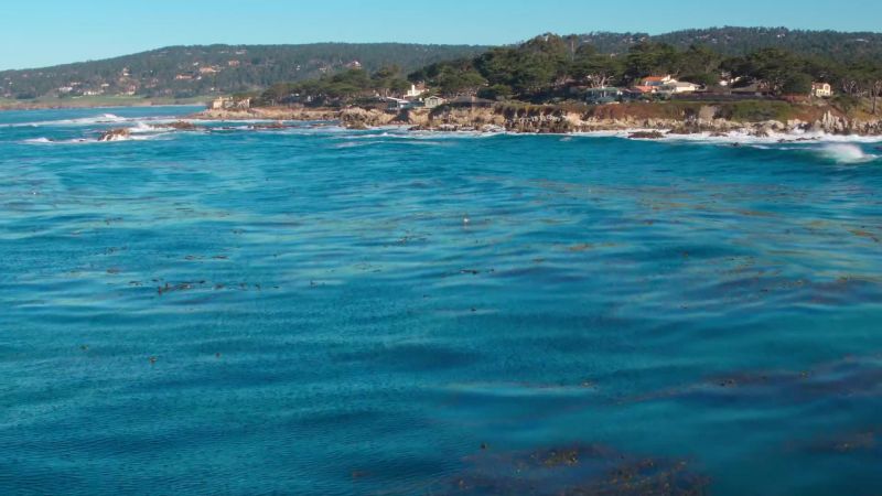 Spring off the coast of California