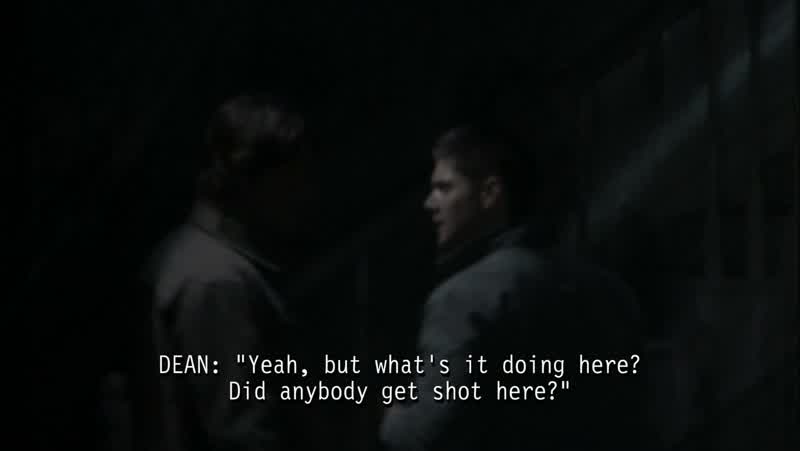 SPRUCE: What's a death echo?