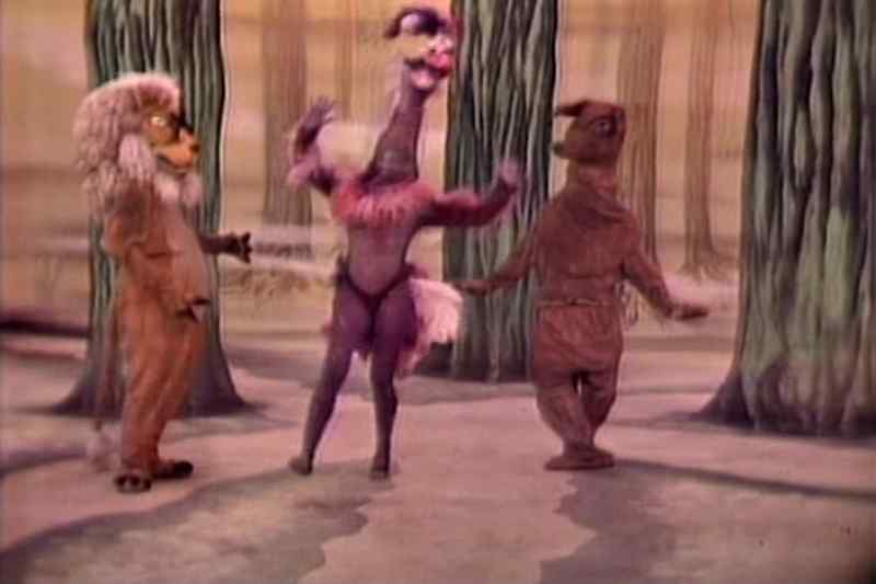 ( squawking )