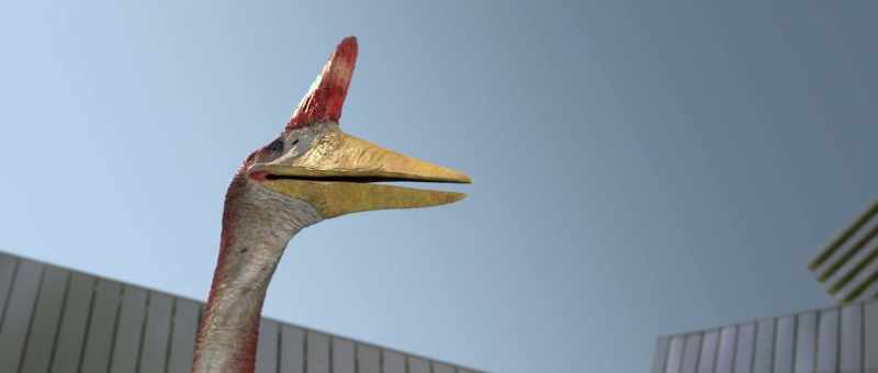 [squawking]