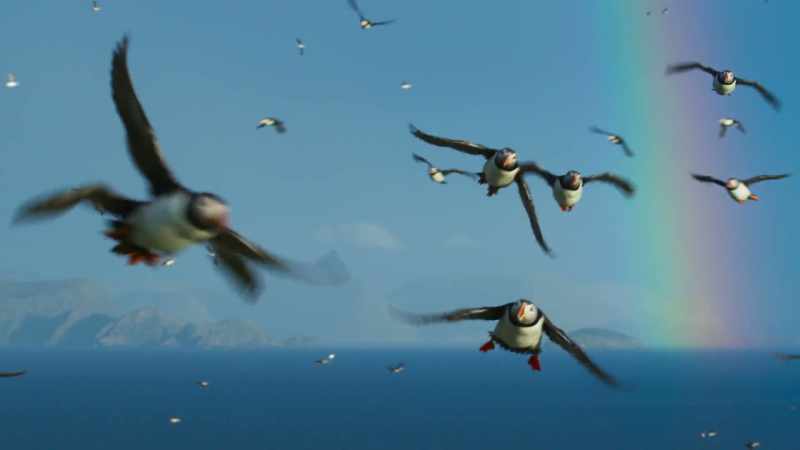 (SQUAWKING)