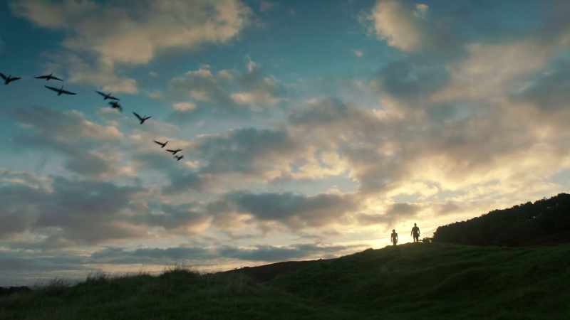 [ Squawking ] Southwell: Hawks, horses, and hounds