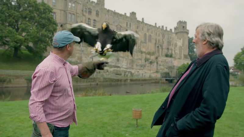 [squawks]