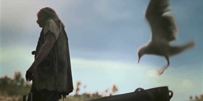 (squawks)