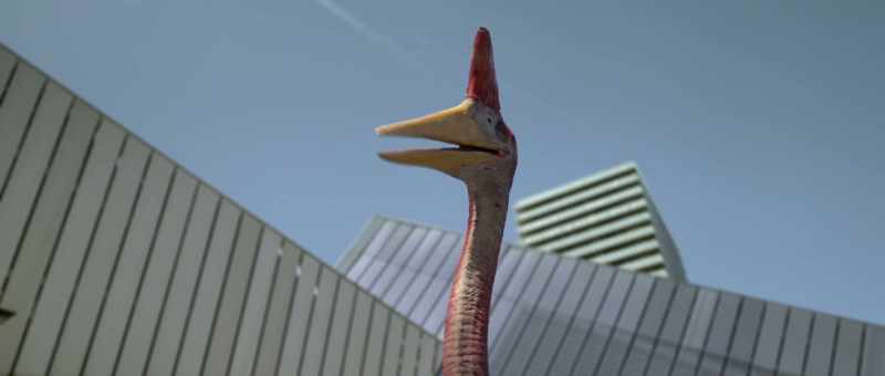 [squawks]