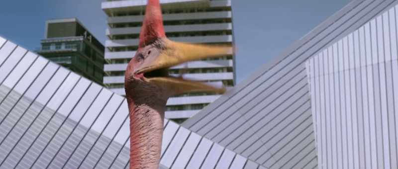 [squawks]