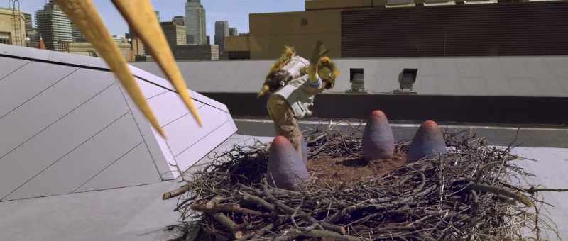 [squawks]