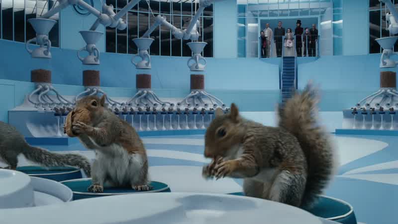 Squirrels!