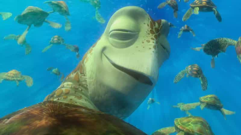 Squirt here will now give you a rundown on proper exiting technique Good afternoon We're going to have a great jump today Crank a hard cutback as you hit the wall There's a screaming bottom turn so