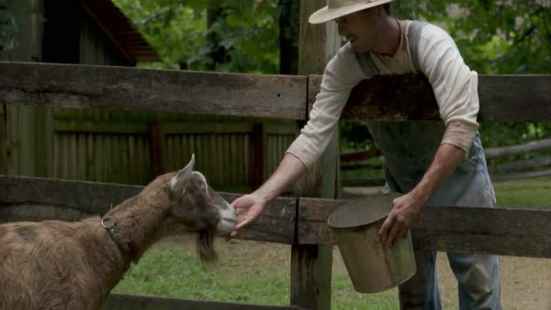 ST. AMAND: His livestock is chronically ill