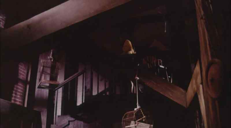 (stairs creaking)