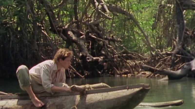 �� Stalked in the forest too close to hide ♪
