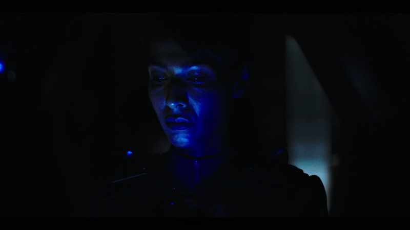 STAMETS: I never anticipated
