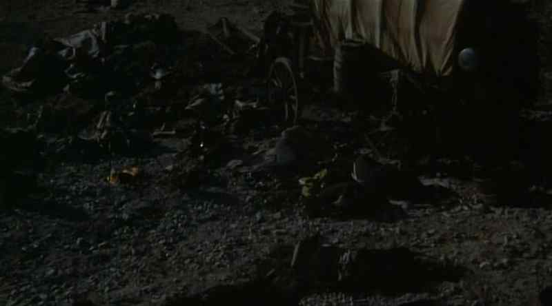 Stampede! Stampede!