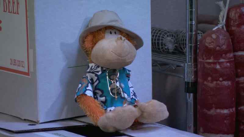 STAN: Robert, your steely cool never ceases to amaze me