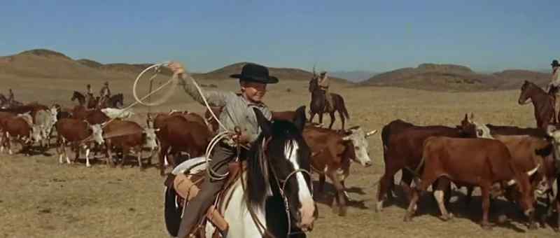 Stand back till I roll'em!