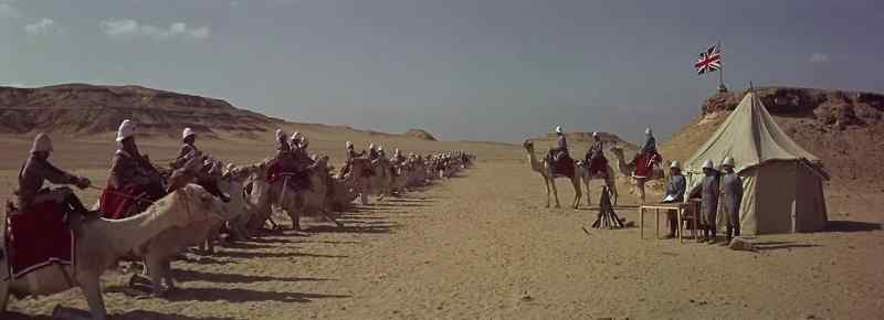 Stand your camels