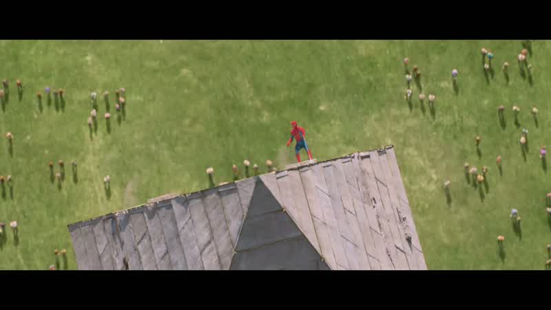 Stand down!