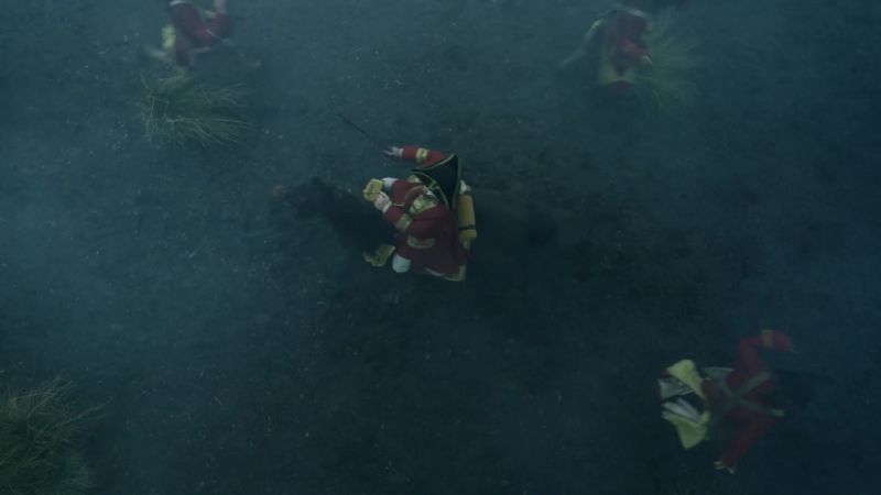 Stand your ground, you dogs!