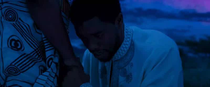 T'CHAKA Stand up You are a king