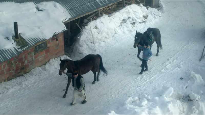 Stanisław is a horse skiing master