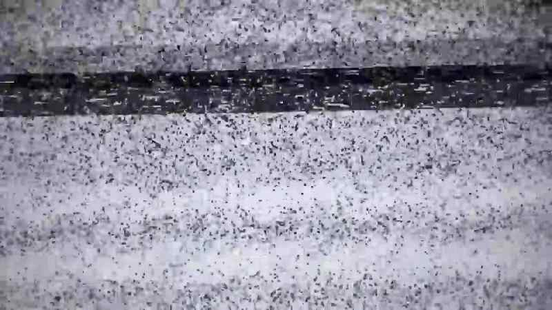(static buzzing)