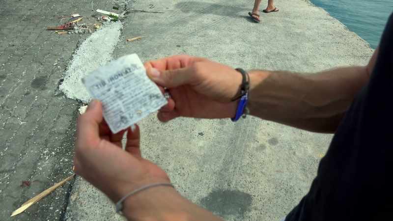 Stating that blue sharks that were landed here were caught in Spain