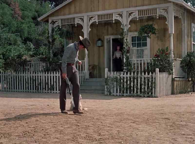 Stay apache, stay here boy, stay