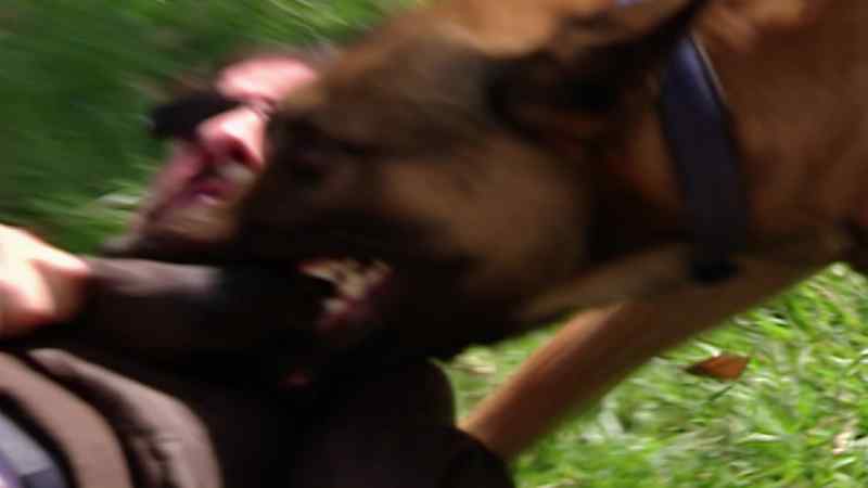 Stay still, don't move, junior