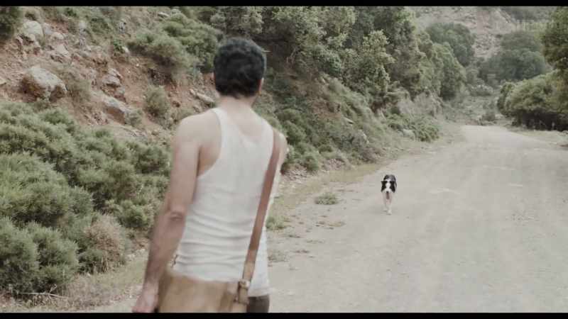 Stay there! Don't follow me! Stay!