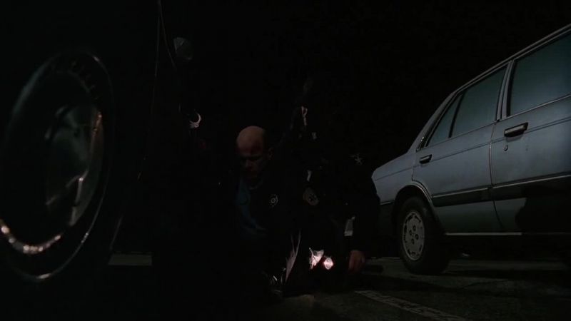 Stay there, you son of a bitch